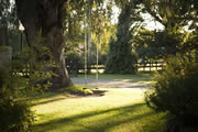 La Caledonia Cabañas - Parque juegos y piscina